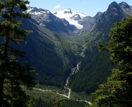 Southern Resident Orca Recovery 8