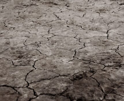 Picture of dry and cracked dirt