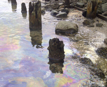 Photograph of oil sheen