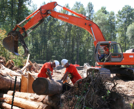 Picture of two men working on a log in front of a backhoe