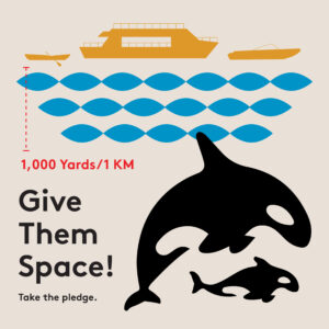 Give Them Space Logo showing boat with orca swimming underneath