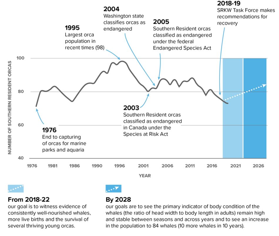 Progress Southern Resident Orca Recovery