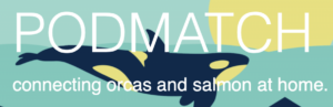 Pod Match Logo showing orca swimming under yellow sun