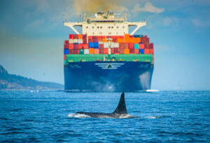 Picture of ship in front of orca